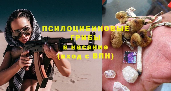 дурь Аркадак