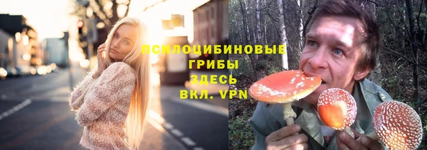 ALPHA-PVP Армянск